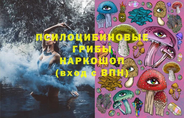 apvp Заволжск