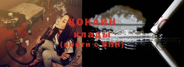 мдпв Заводоуковск