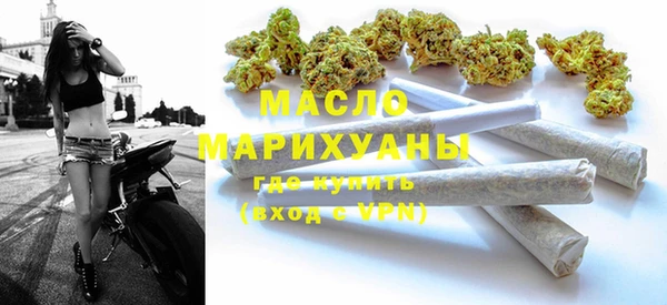 мдпв Заводоуковск