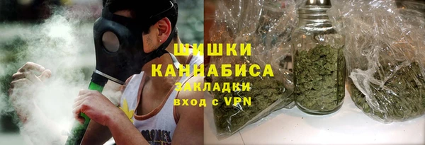 мдпв Заводоуковск