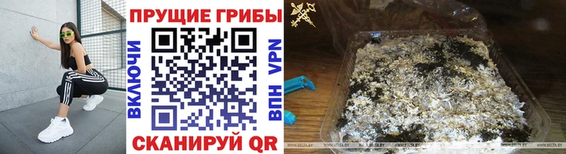 omg онион  дарк нет как зайти  Псилоцибиновые грибы мицелий  Евпатория 